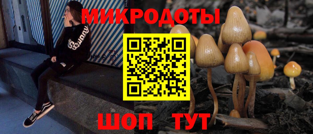 Удомля  Галлюциногенные грибы Cubensis  Вход с VPN  Псилоцибиновые грибы MAGIC MUSHROOMS 