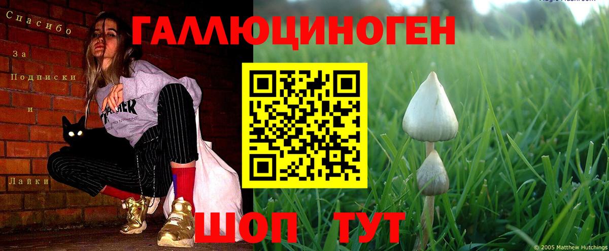Псилоцибиновые грибы ЛСД Удомля